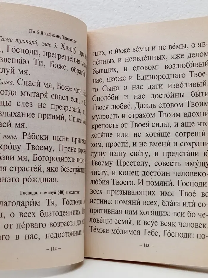 Псалтирь святого пророка и царя Давида. Крупным шрифтом