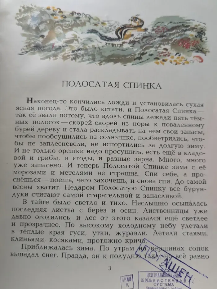 Полосатая спинка