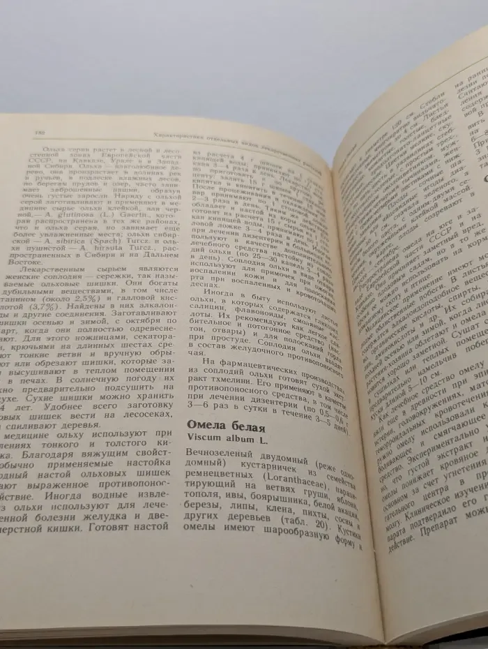 Лекарственные растения в быту