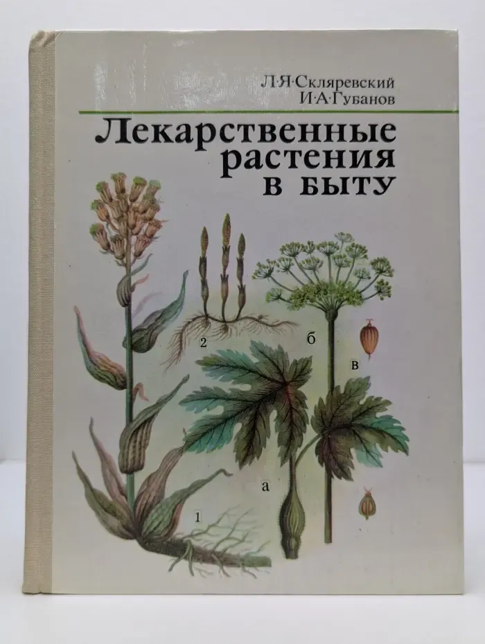 Лекарственные растения в быту