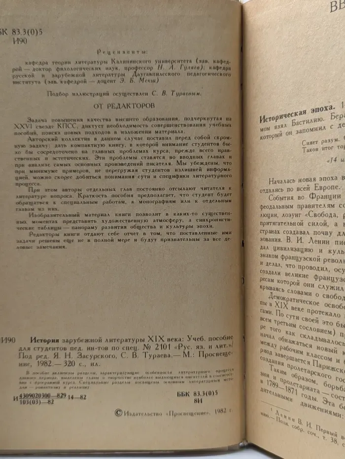 История зарубежной литературы. XIX век