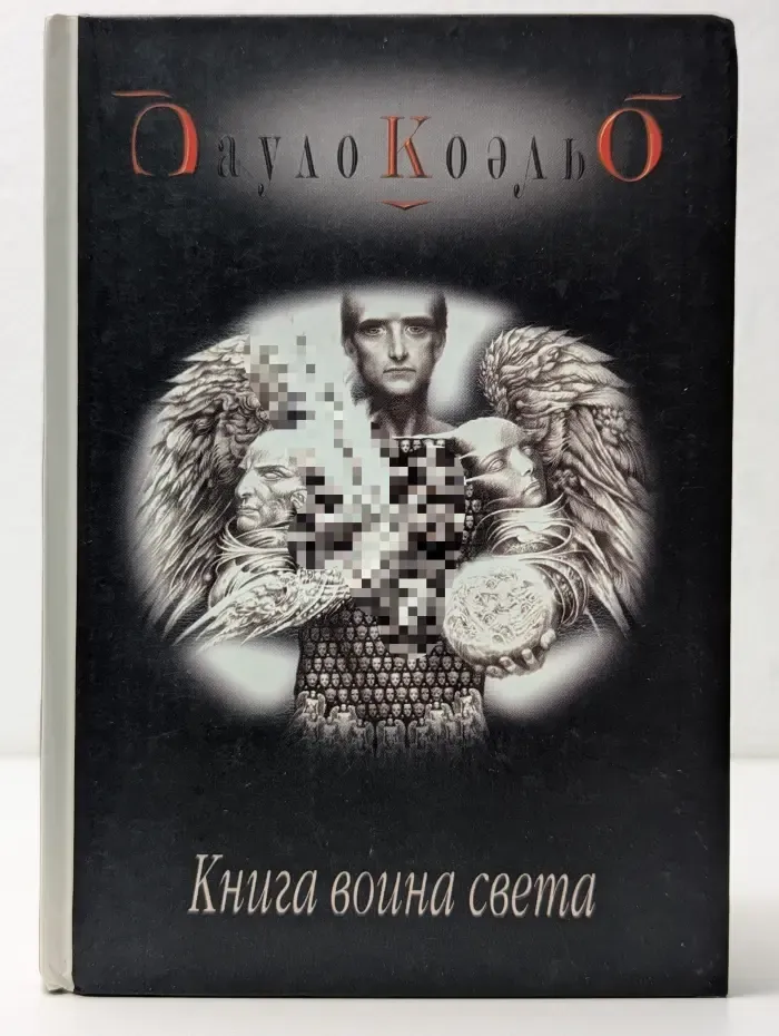 Книга воина света