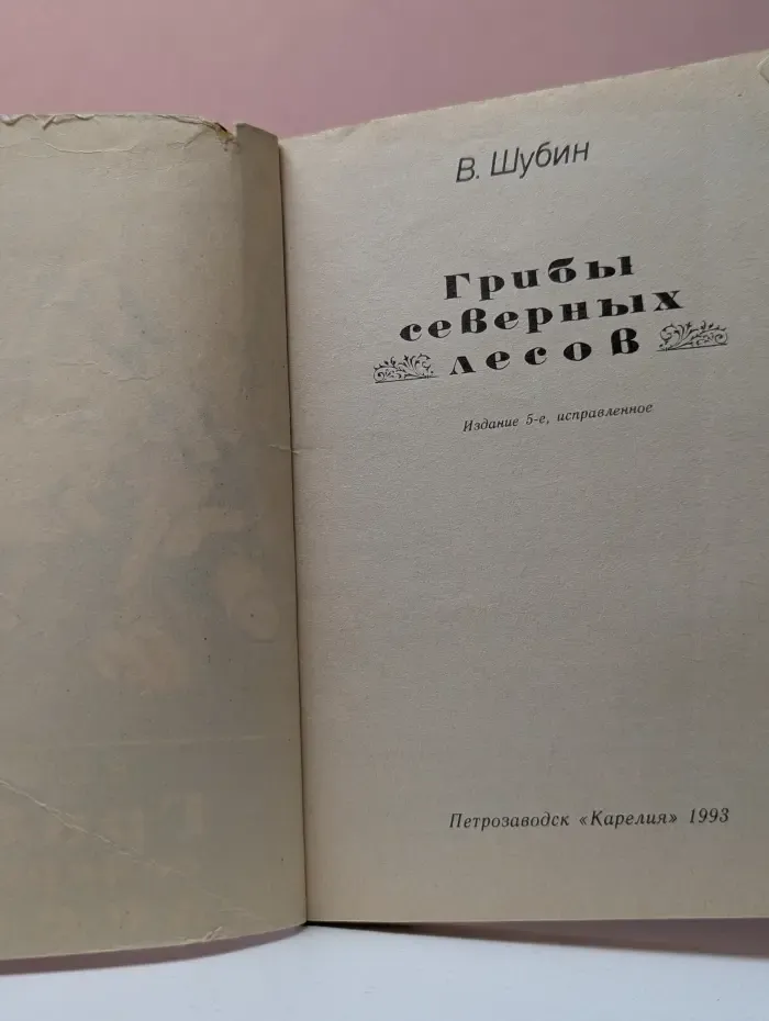 Грибы северных лесов