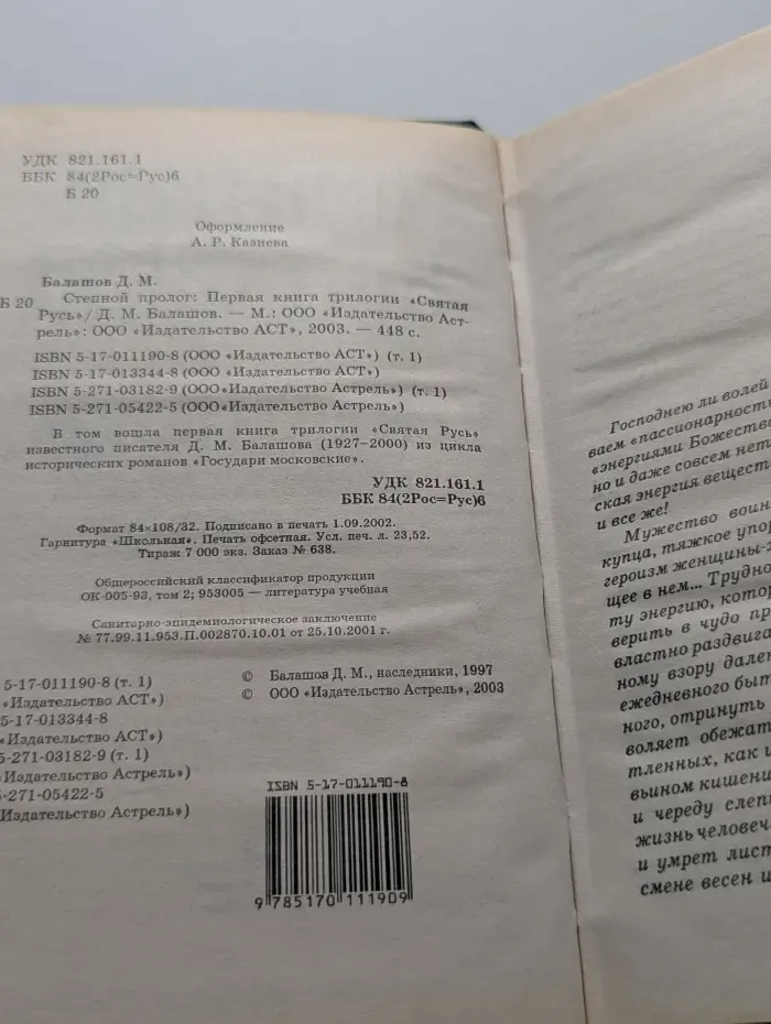Святая Русь. Степной пролог. Книга 1