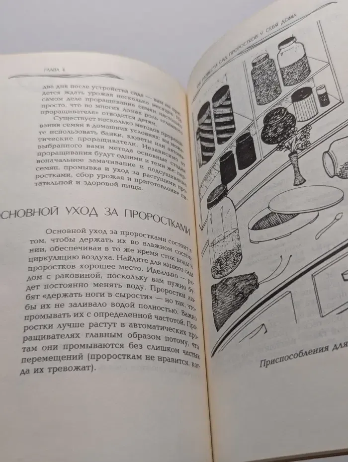 Проростки — пища жизни