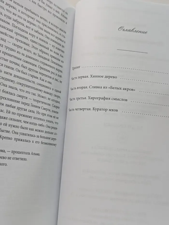 Происхождение всех вещей