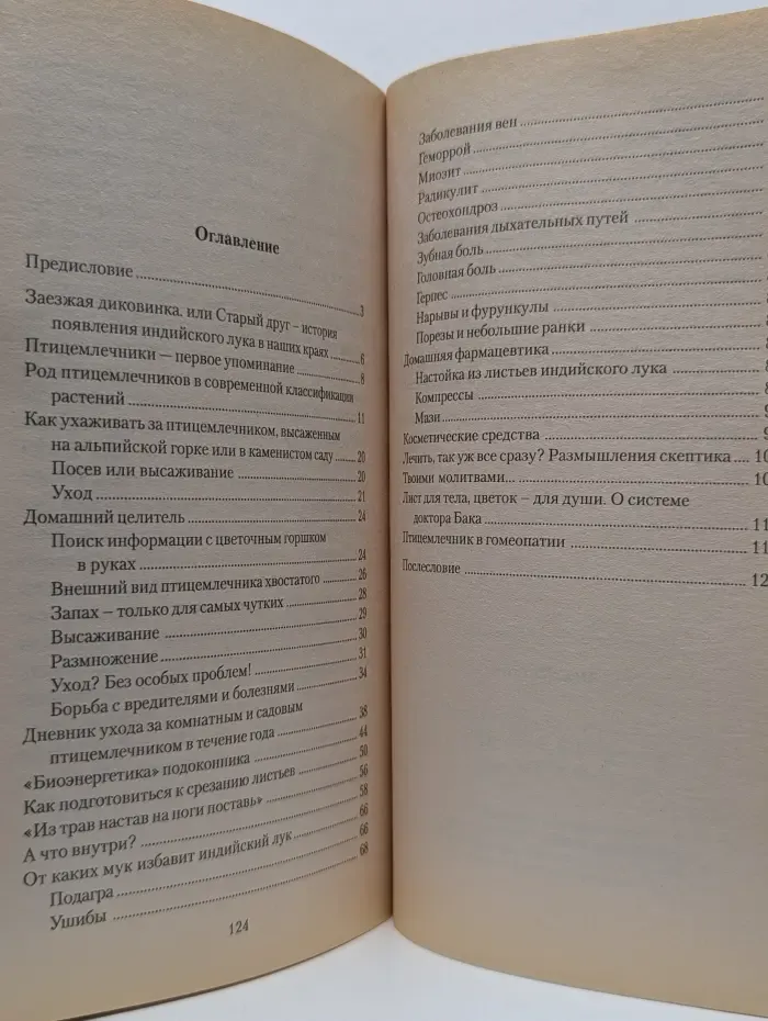 Индийский лук от всех болезней