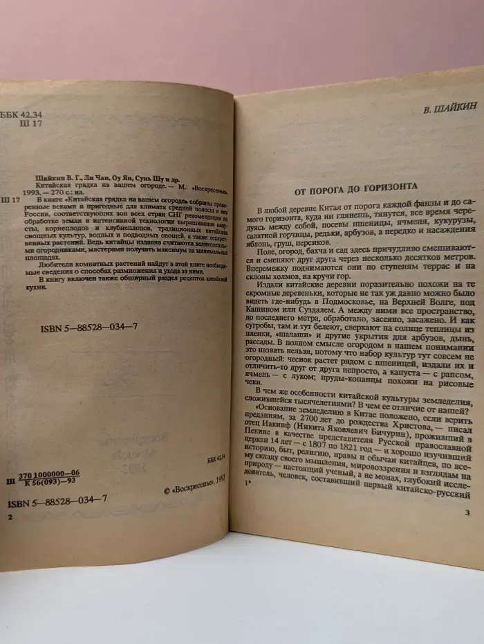 Китайская грядка на вашем огороде