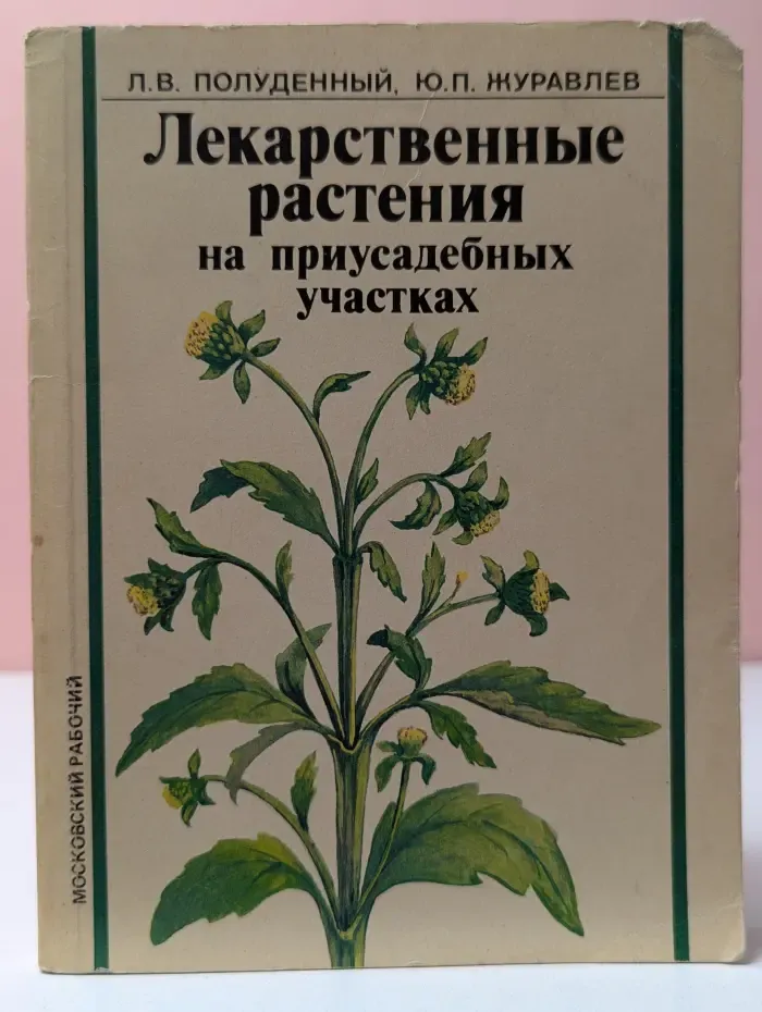 Лекарственные растения на приусадебных участках