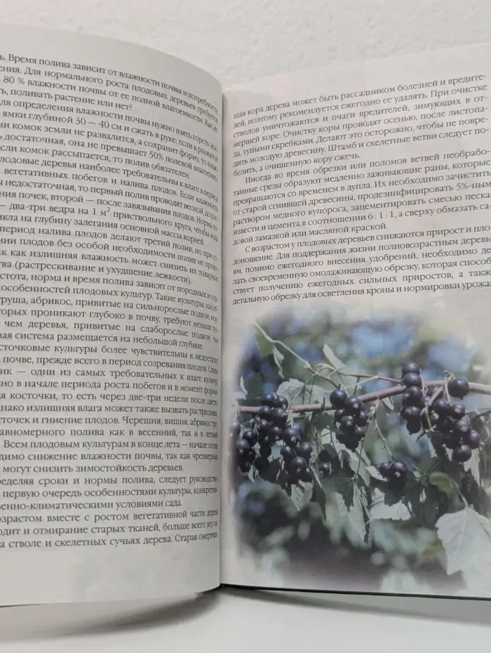 Плодовый сад