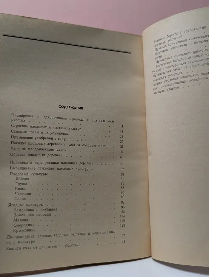 Приусадебный сад