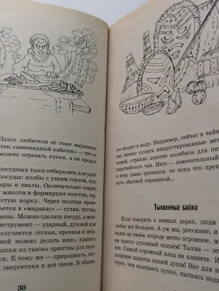 Умная бахча для всех