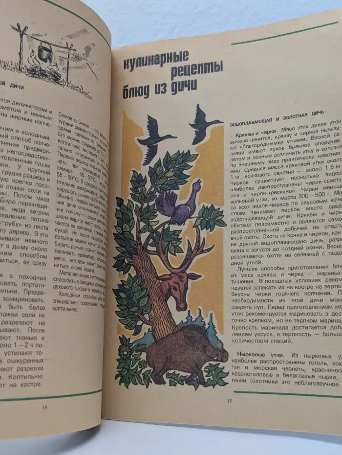 Блюда из дичи