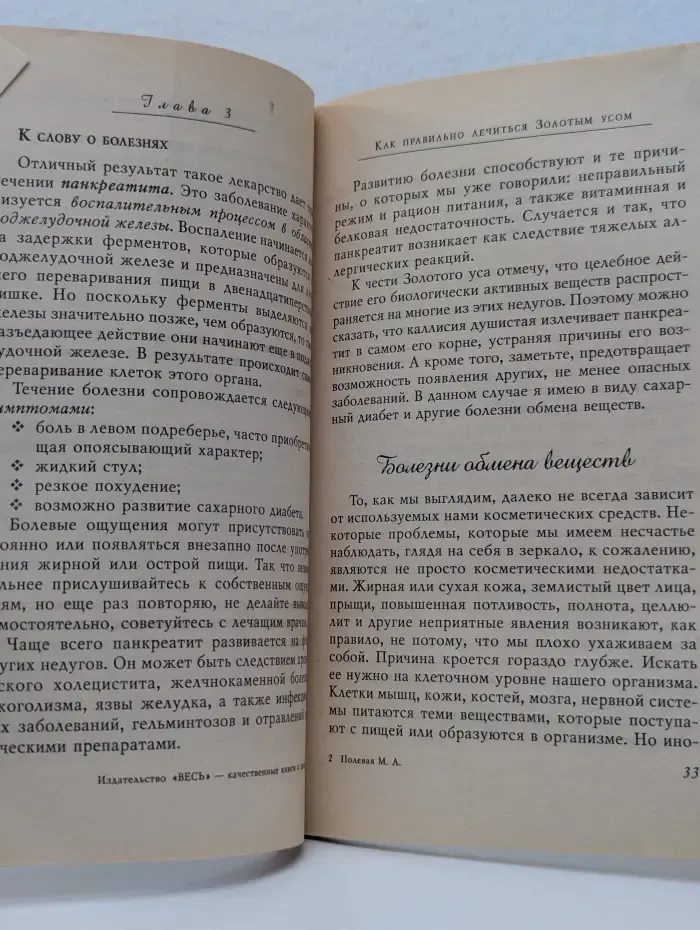 Золотой ус, или домашний женьшень