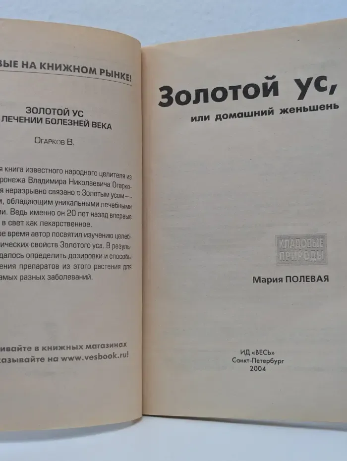 Золотой ус, или домашний женьшень