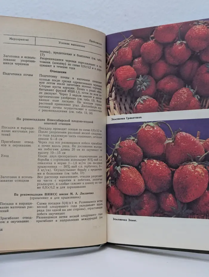 Ягодные культуры. Справочник
