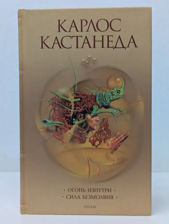 Огонь изнутри. Сила безмолвия