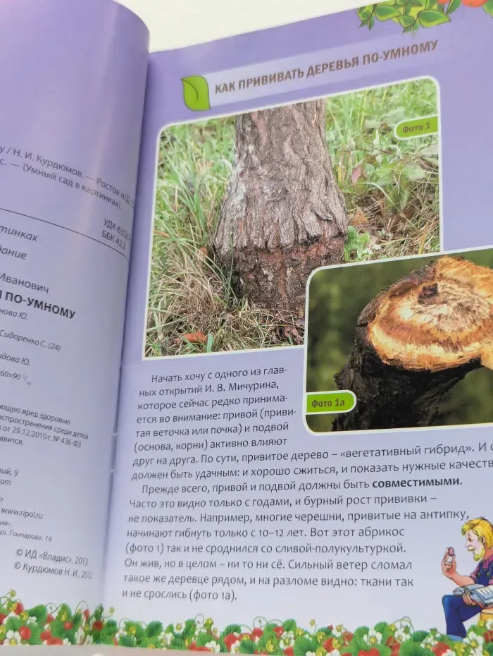 Как прививать деревья по-умному