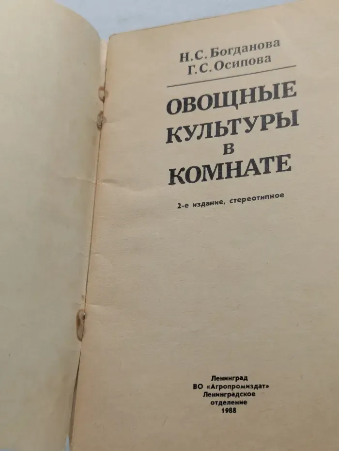 Овощные культуры в комнате