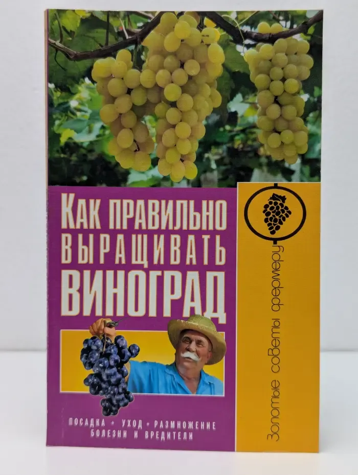Начинающему фермеру. Как правильно выращивать виноград