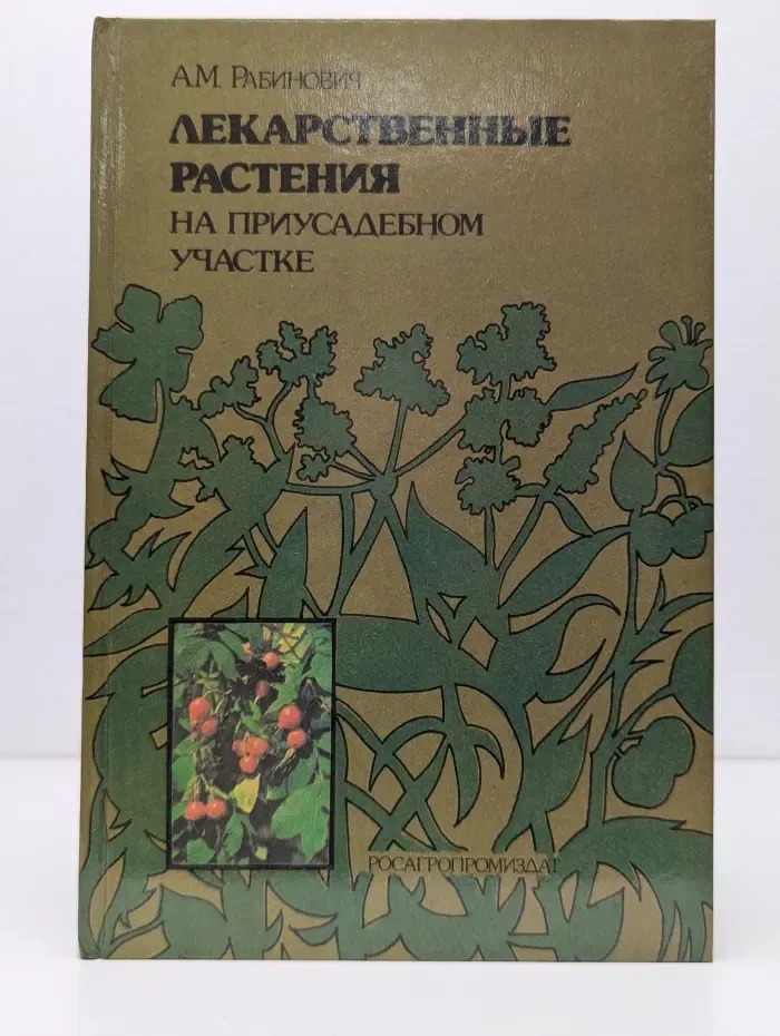 Лекарственные растения на приусадебном участке