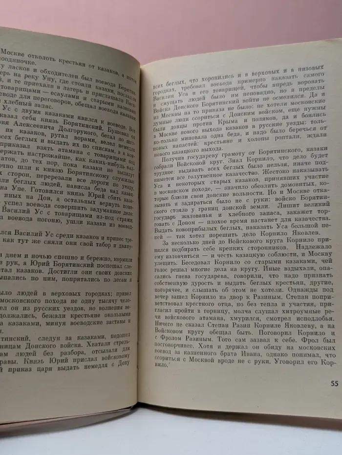 Жизнь замечательных людей. Степан Разин
