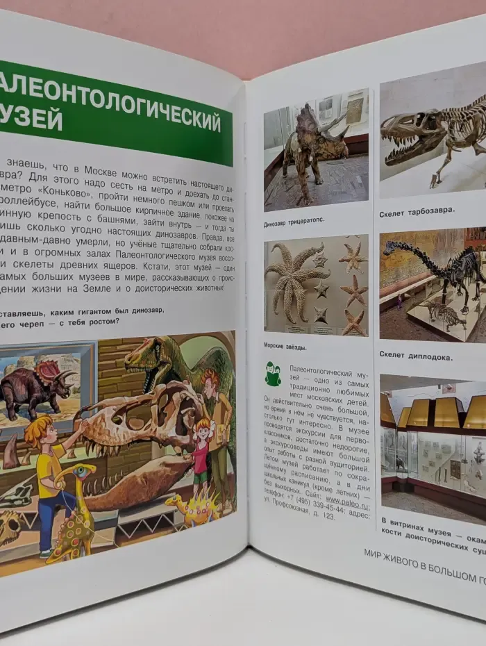 В Москве интересно