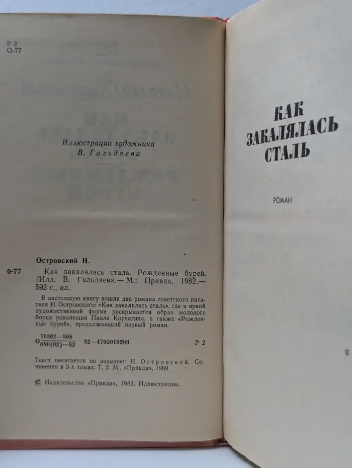 Как закалялась сталь. Рожденные бурей