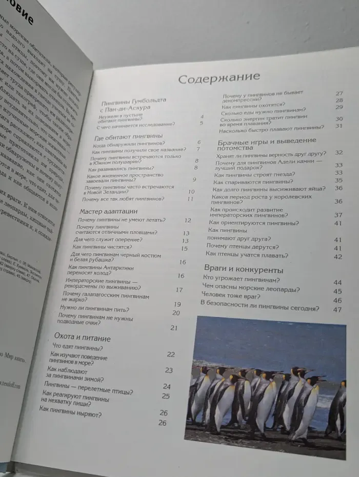 Зачем и почему. Пингвины