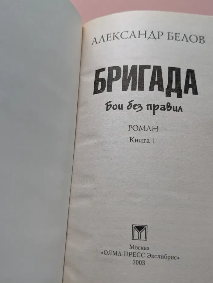 Бригада. Бои без правил. Книга 1