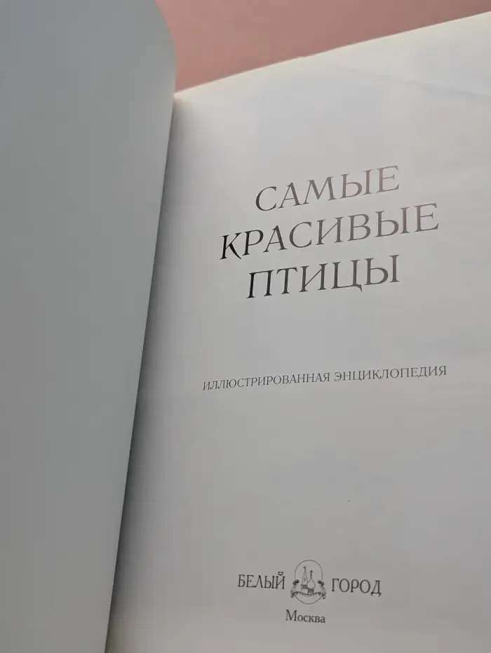 Самые красивые птицы