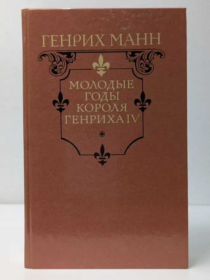 Молодые годы короля Генриха IV