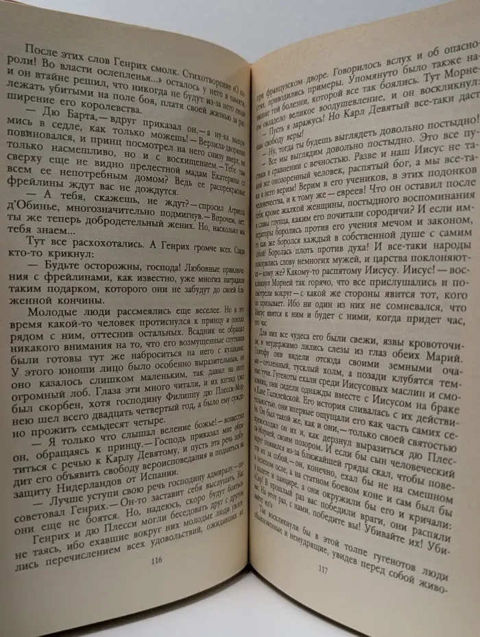 Молодые годы короля Генриха IV