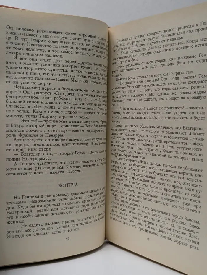 Молодые годы короля Генриха IV