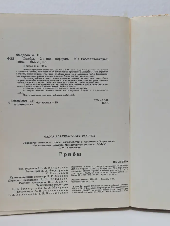 Грибы