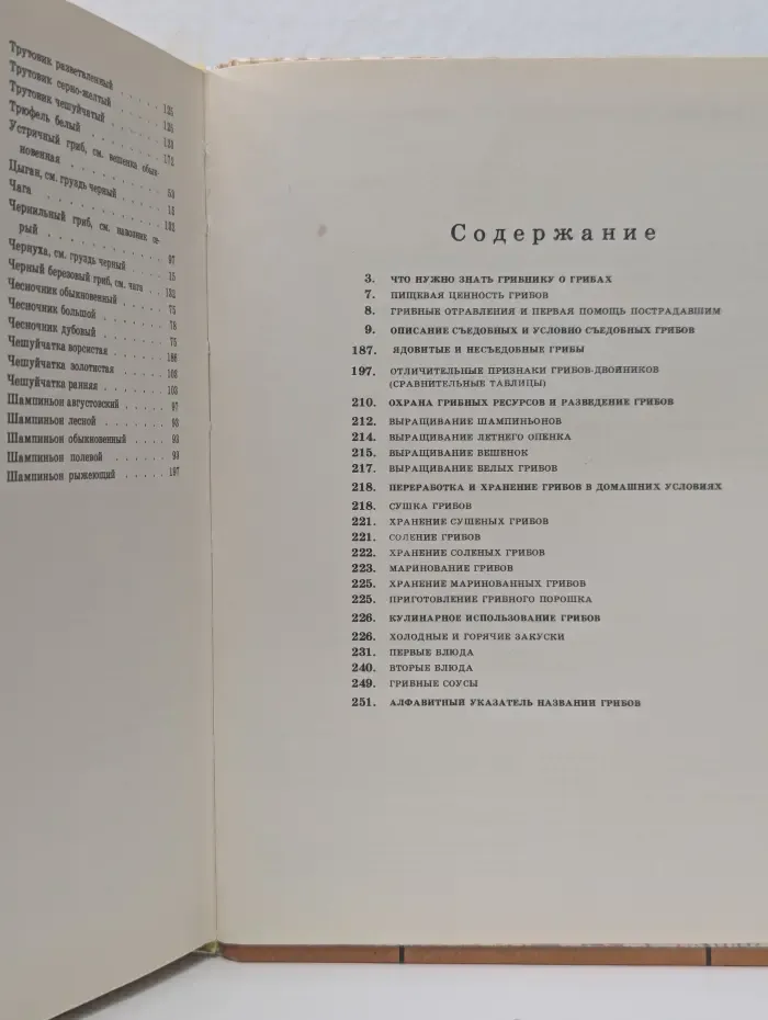 Грибы