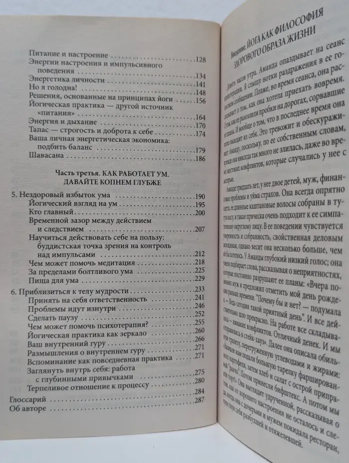 Йога питания. Психология и философия здорового образа жизни