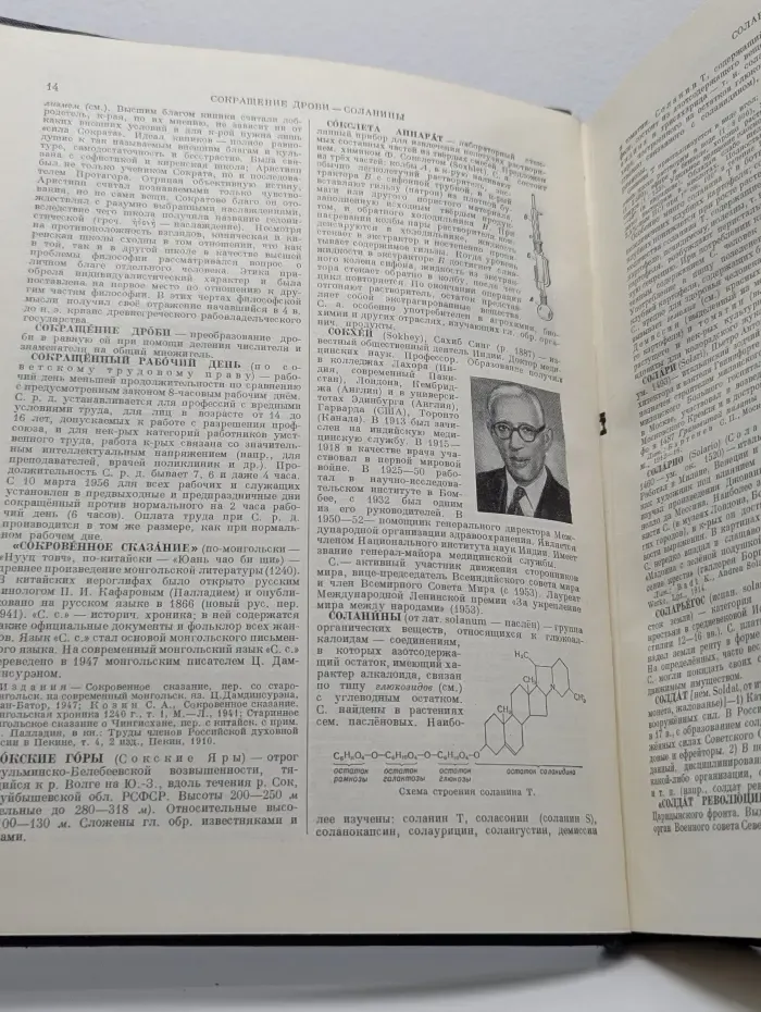 Большая советская энциклопедия. Том 40. Сокирки - Стилоспоры