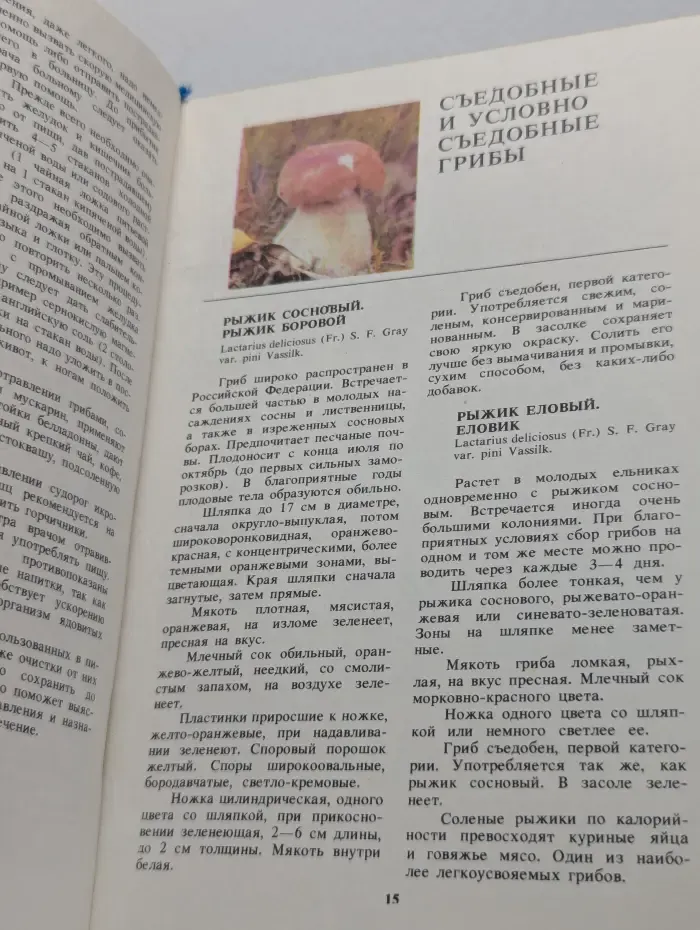 Грибы