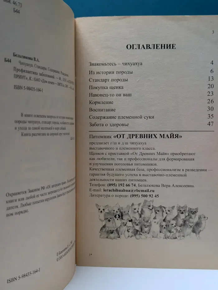 Чихуахуа