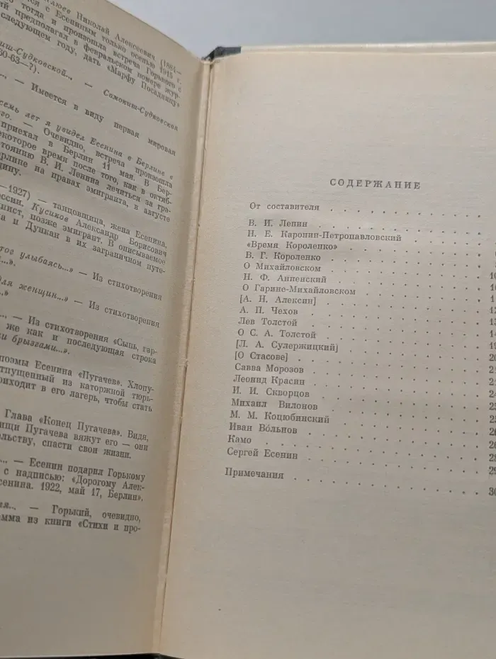 Жизнь замечательных людей. Литературные портреты