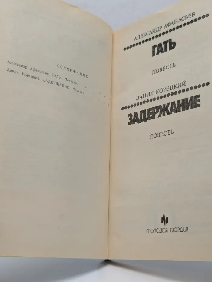 Стрела. Гать. Задержание