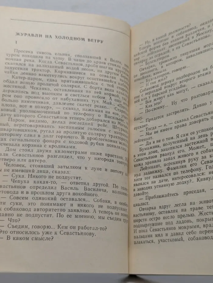 Стрела. Укради у мертвого смерть