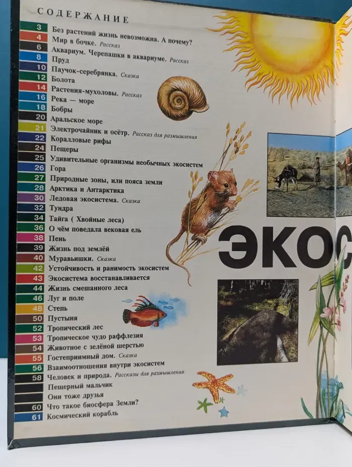 Окно в мир. Экосистемы