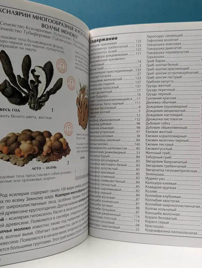 Грибы. Иллюстрированный справочник