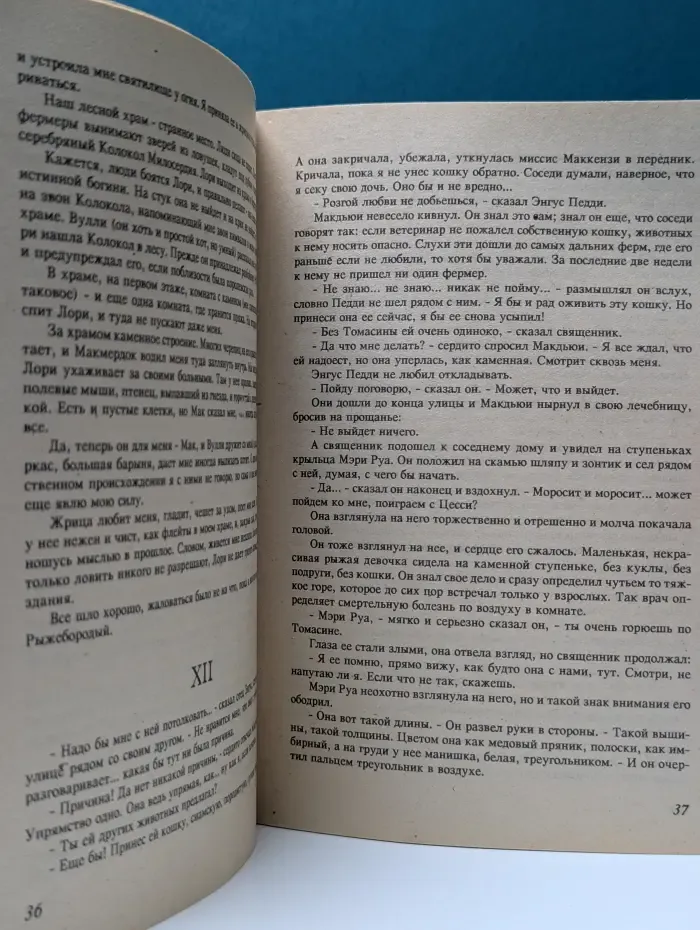 Круг чтения. Томасина