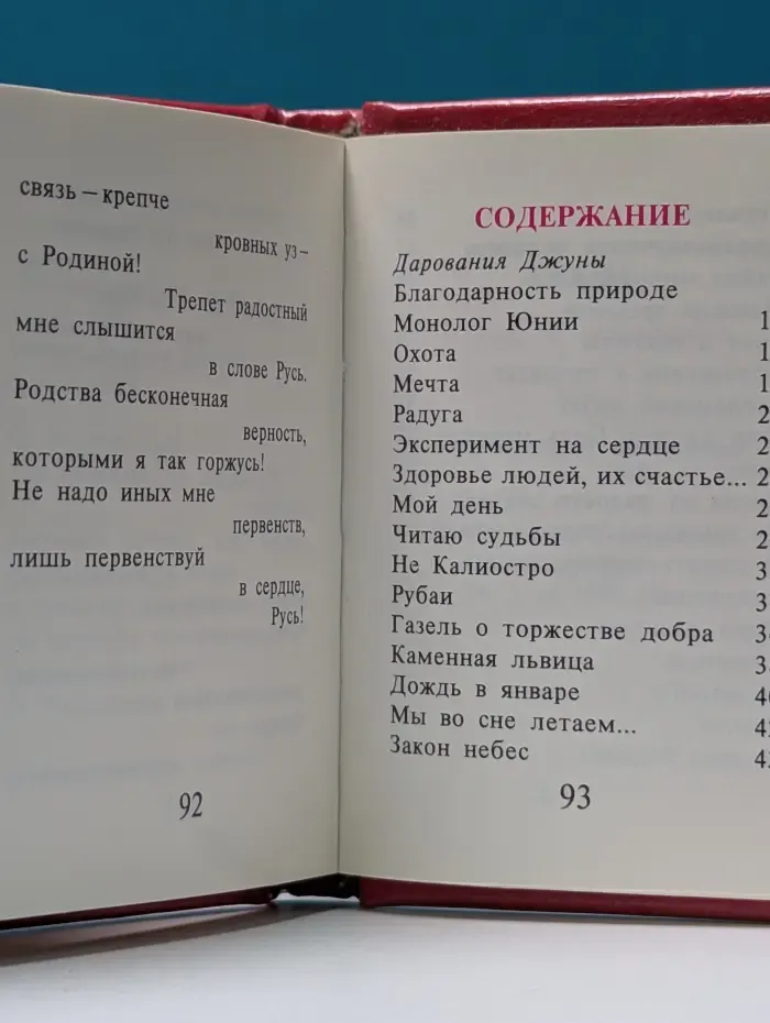 Джуна. Поэзия и живопись