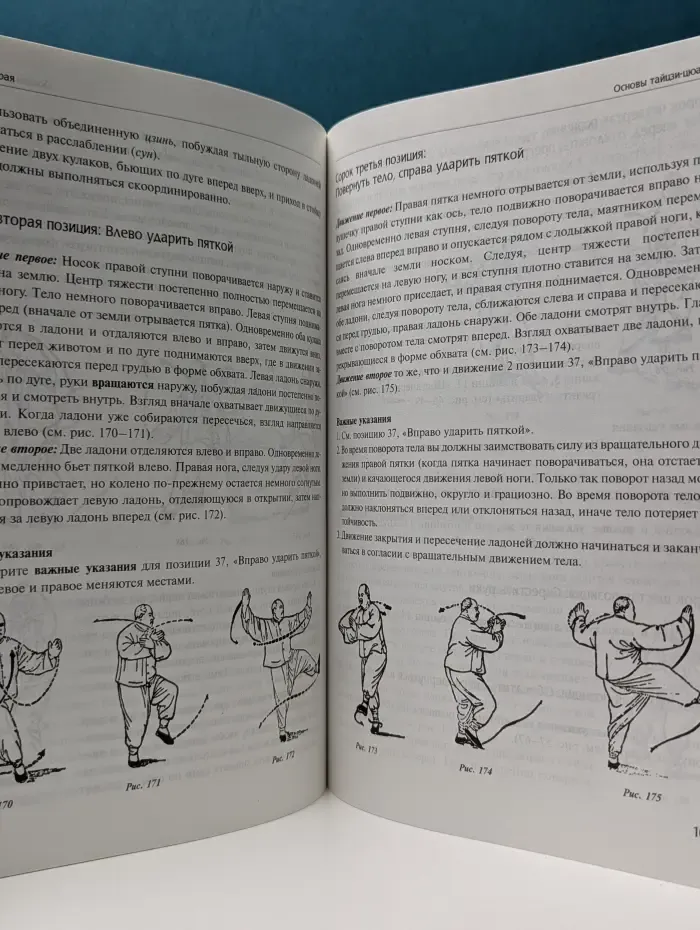 Тайцзи-цюань стиля Ян. Практическое пособие для совершенствующихся