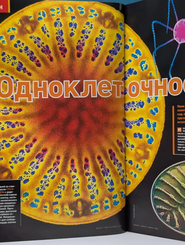 Вокруг света. Выпуск № 7/2003