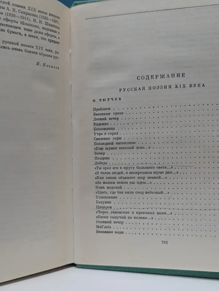 Библиотека всемирной литературы. Русская поэзия XIX века. Том 2